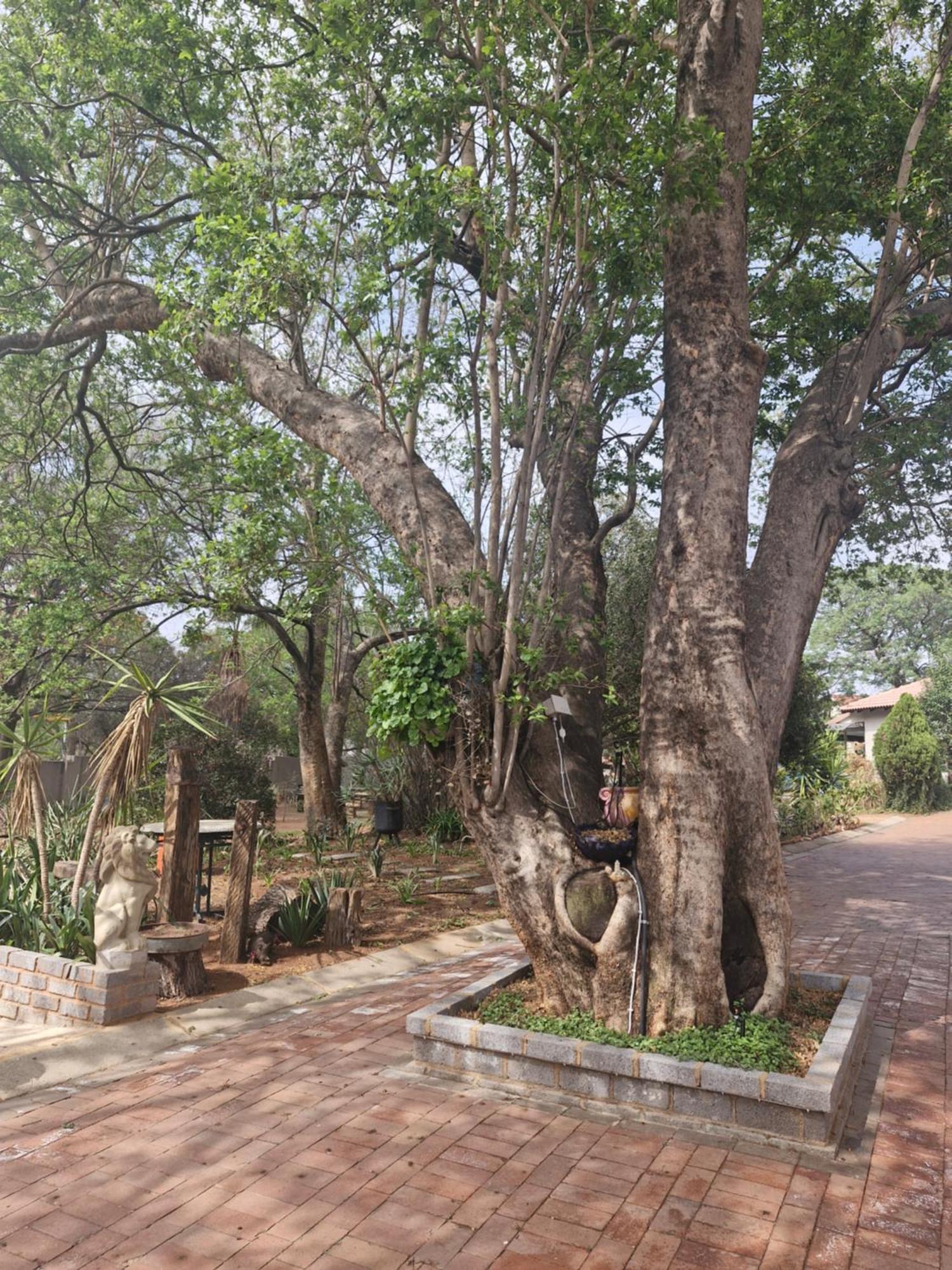 Epicure Home Guesthouse Heidelberg (Gauteng) Exterior foto